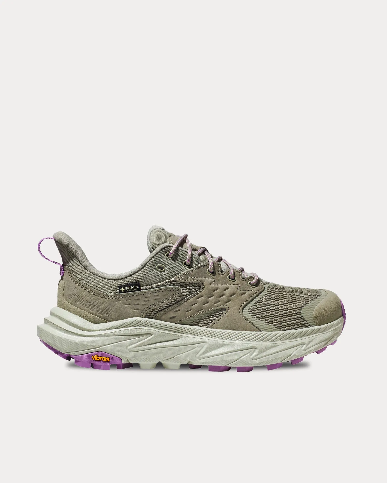 Anacapa 2 Low GTX Barley / Celadon Tint Running Shoes