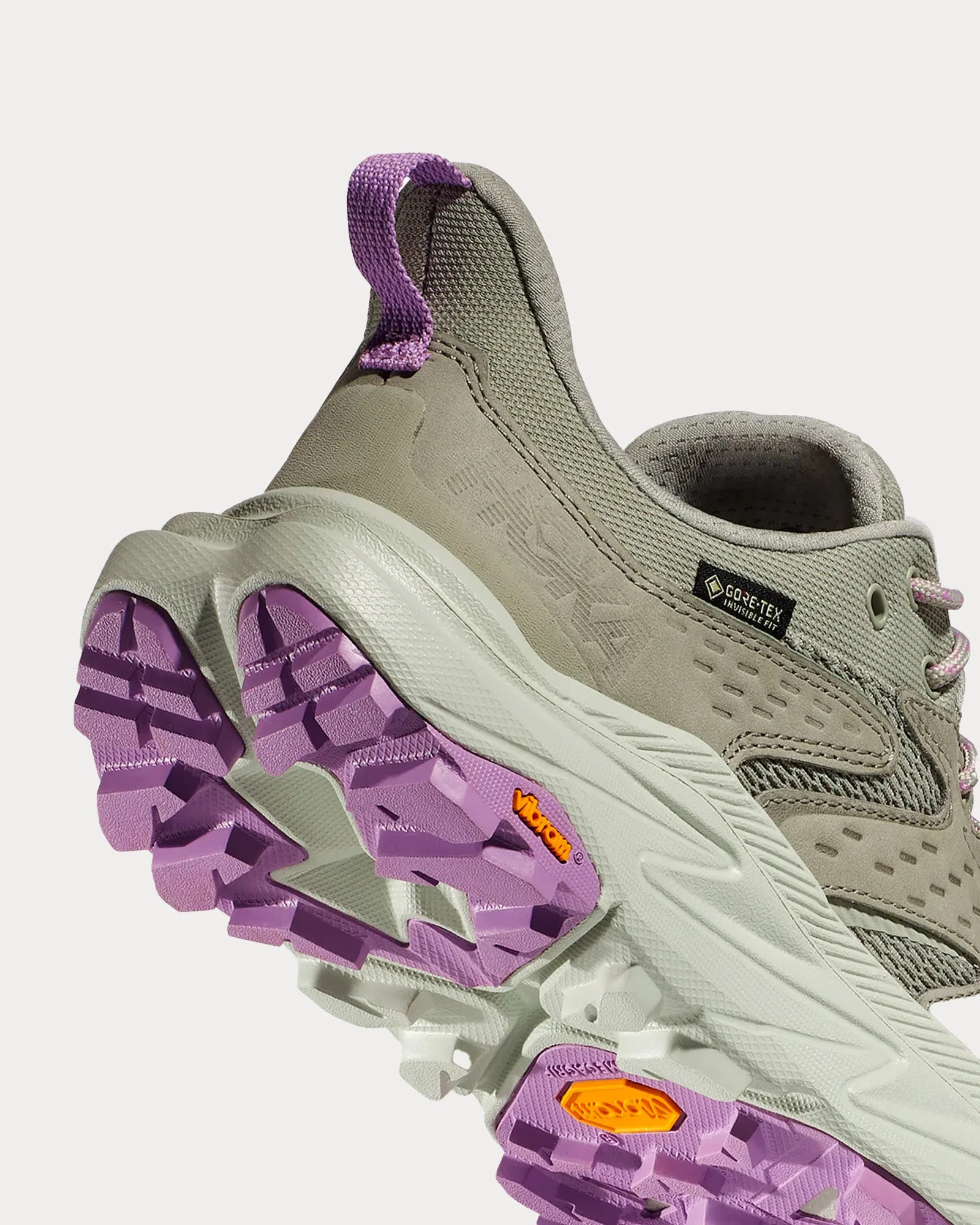 Anacapa 2 Low GTX Barley / Celadon Tint Running Shoes