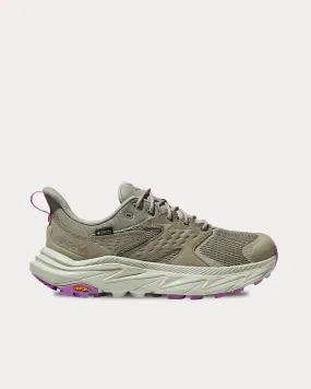 Anacapa 2 Low GTX Barley / Celadon Tint Running Shoes
