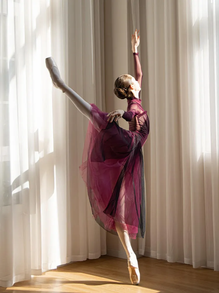 Ballet Long Sleeved High Necked Pleated Practice Clothes Dance Leotard