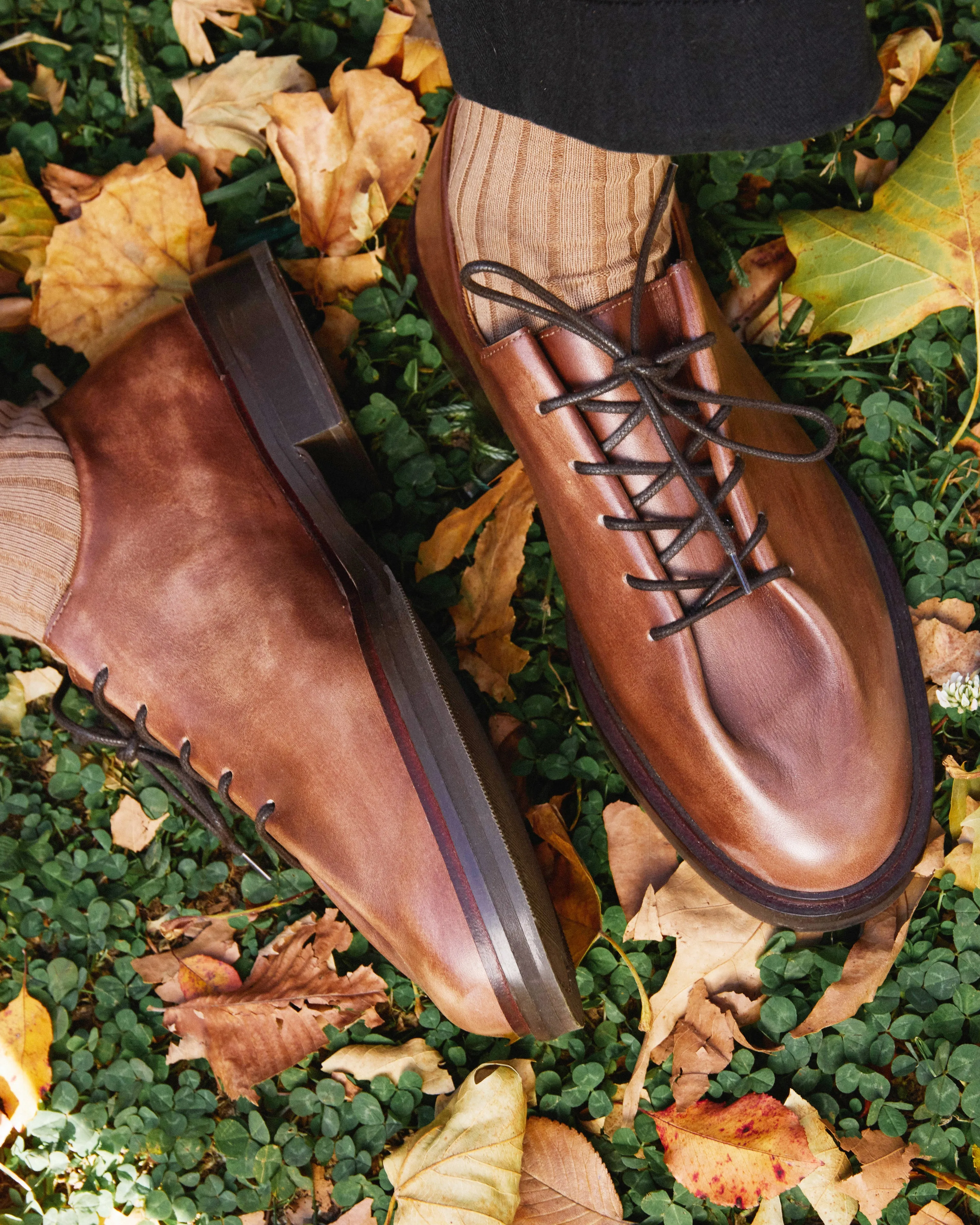 EDOUARD NUANCE BROWN SG