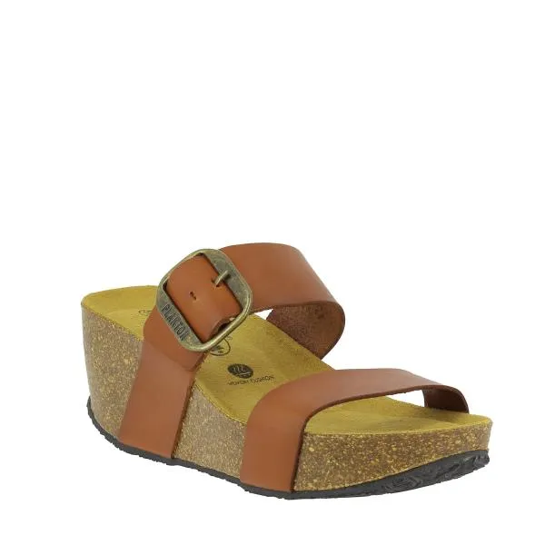 Plakton 873004 Camel Wedges