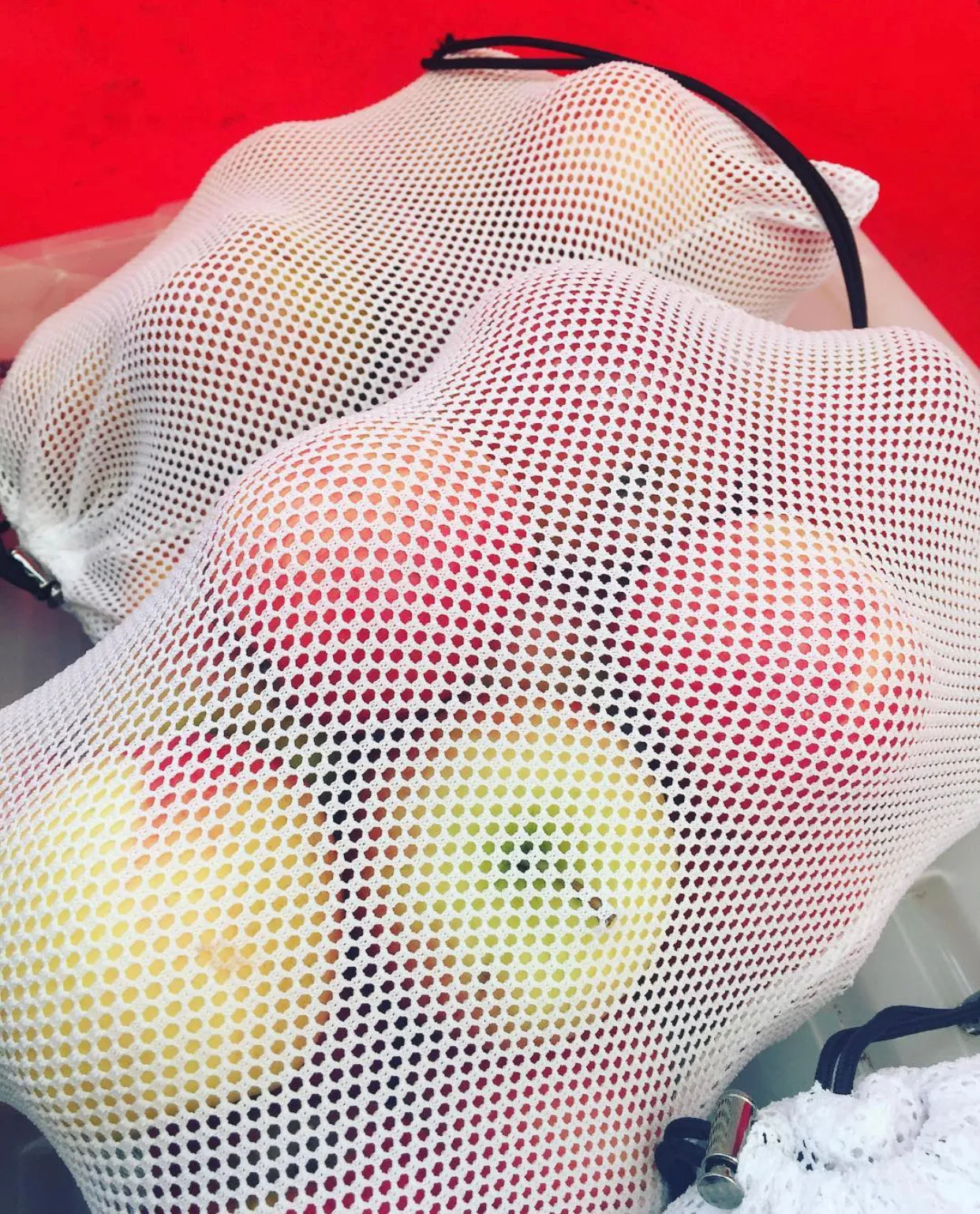 Produce Bags