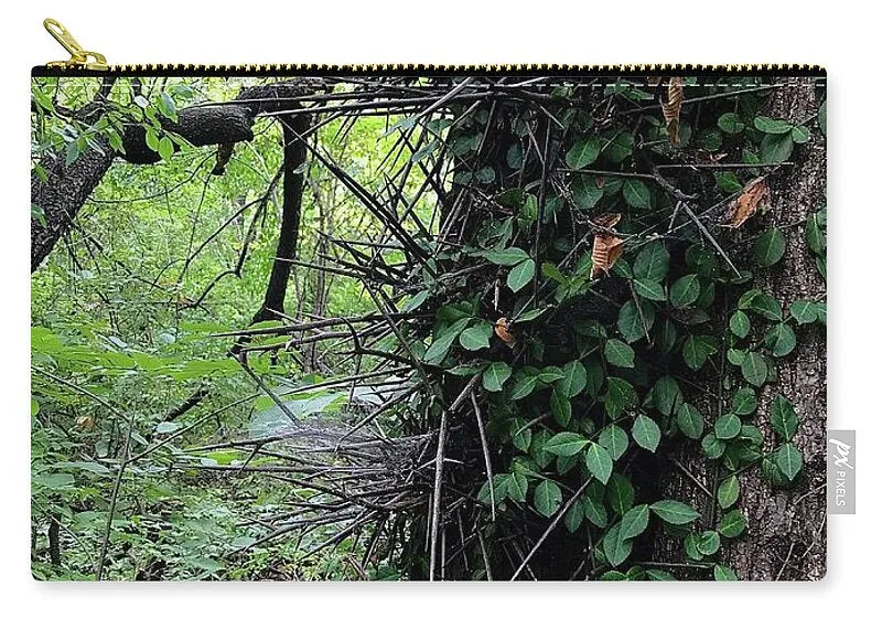 Thorn Trail - Zip Pouch